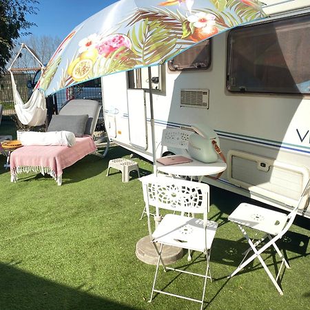 Gardencaravan Near Ghent In Green Area Luaran gambar